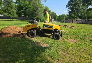 Stump Grinding